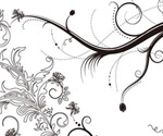 5 Floral Ornaments Vector Pack